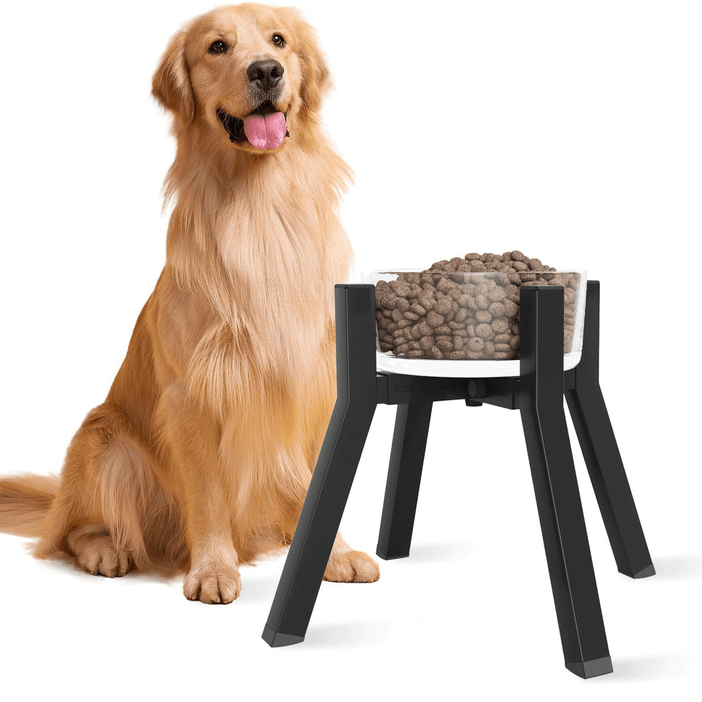 TIDANT Dog Bowl Stand for Medium & Large Dogs Adjustable Width Raised Dog Bowl for 7-10.6" Wide Bowls Elevated Dog Food & Water Bowls 11 inch Tall Single Dog Bowl Holder Black (Bowl Not Included)